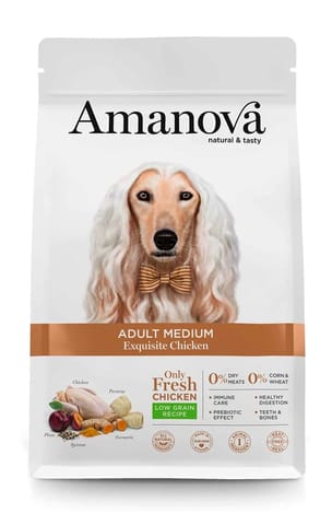 ⁨AMANOVA Adult Medium Exquisite Chicken - dry dog food - 2kg⁩ at Wasserman.eu