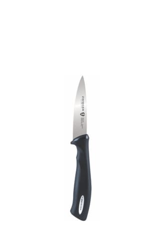 ⁨ZWIEGER PRACTI PLUS Fruit and vegetable knife 9cm⁩ at Wasserman.eu