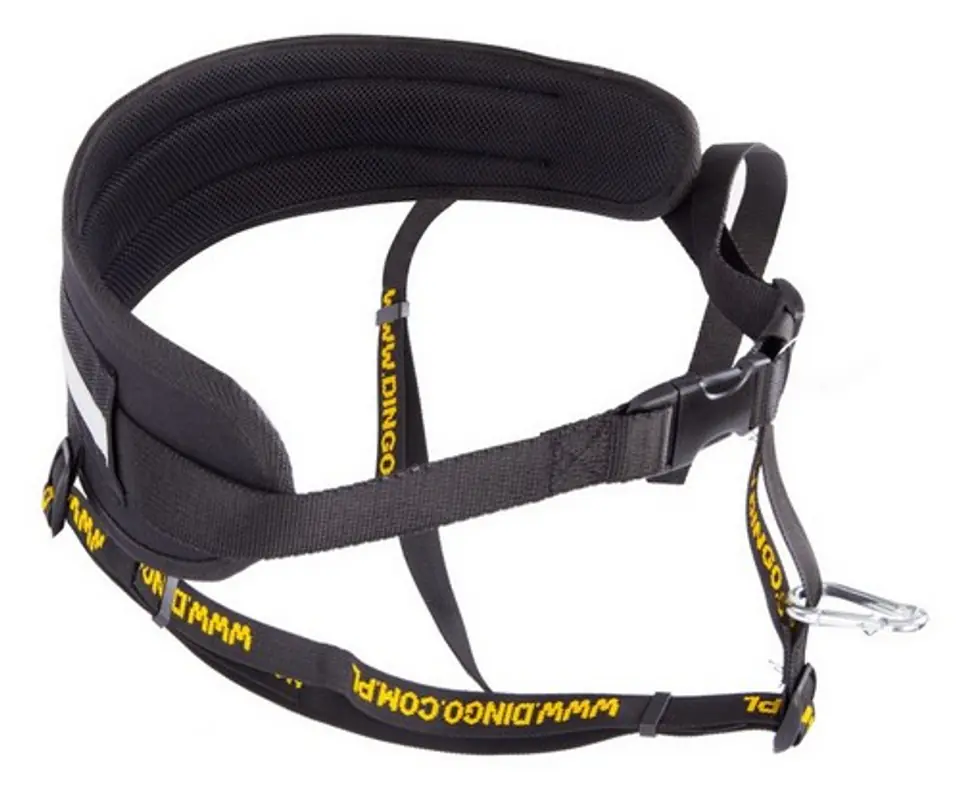 ⁨Dingo Profi Running Belt - 4 fastening options⁩ at Wasserman.eu