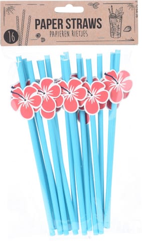 ⁨Set of 16 paper straws 4 types⁩ at Wasserman.eu