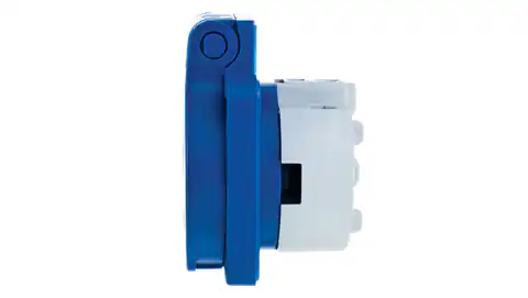 ⁨Panel mount socket 10/16A 2P+Z SCHUKO 230V blue IP54 105-0b⁩ at Wasserman.eu