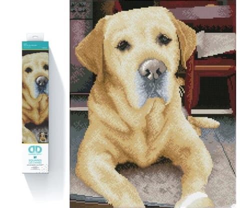 ⁨Diamond Embroidery Diamond Dotz Diamond Mosaic Labrador King 48x58cm DQ10027⁩ at Wasserman.eu