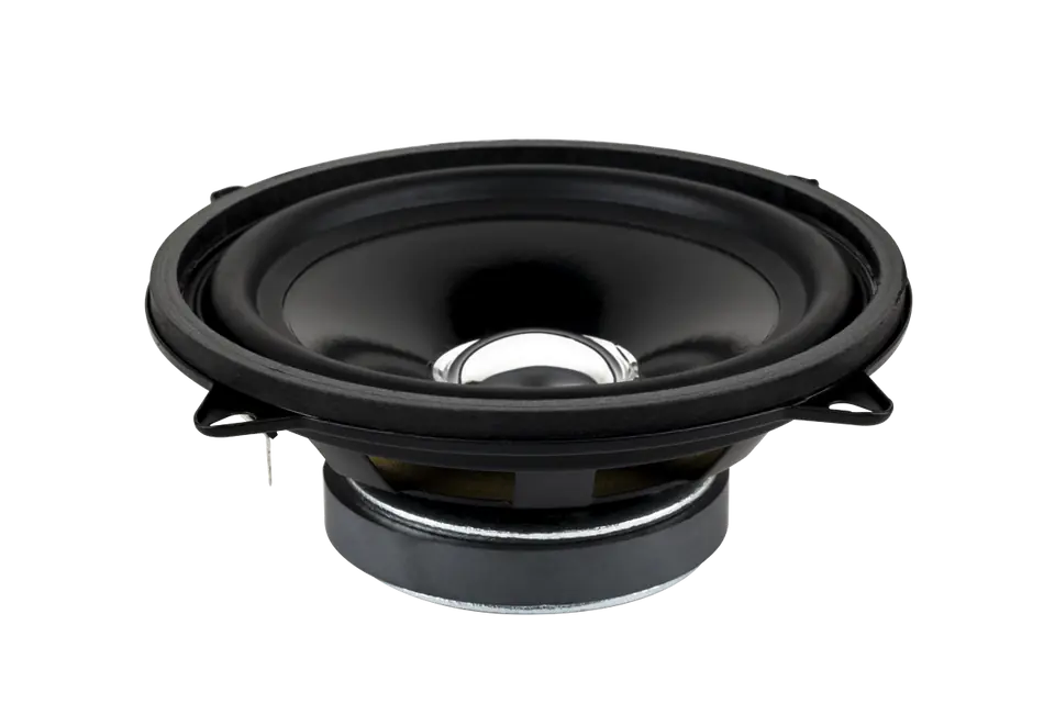 ⁨Loudspeaker 5" DBS-G1301 8 Ohm (with ears)⁩ at Wasserman.eu