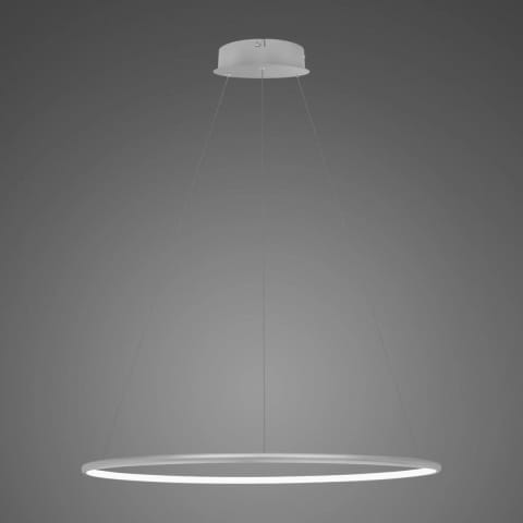 ⁨Lampa wisząca Ledowe Okręgi No.1 60cm 3k srebrna Dali (Barwa światła delikatnie ciepła, Kolor srebrny, Możliwość ściemniania tak)⁩ w sklepie Wasserman.eu