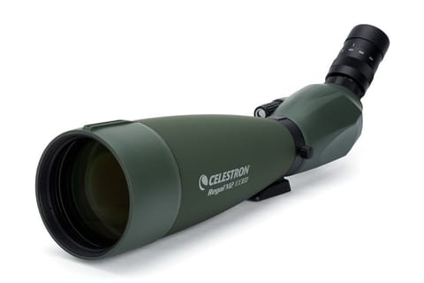 Spotting scope Regal 100 M2 ED at Wasserman.eu