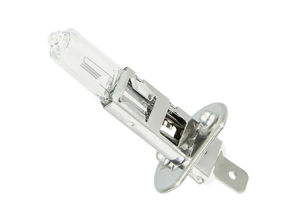 ⁨Bulb alone.  H1 12V/55W⁩ at Wasserman.eu