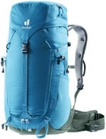 Szlak 24 bluszcz falisty w sklepie Wasserman.eu