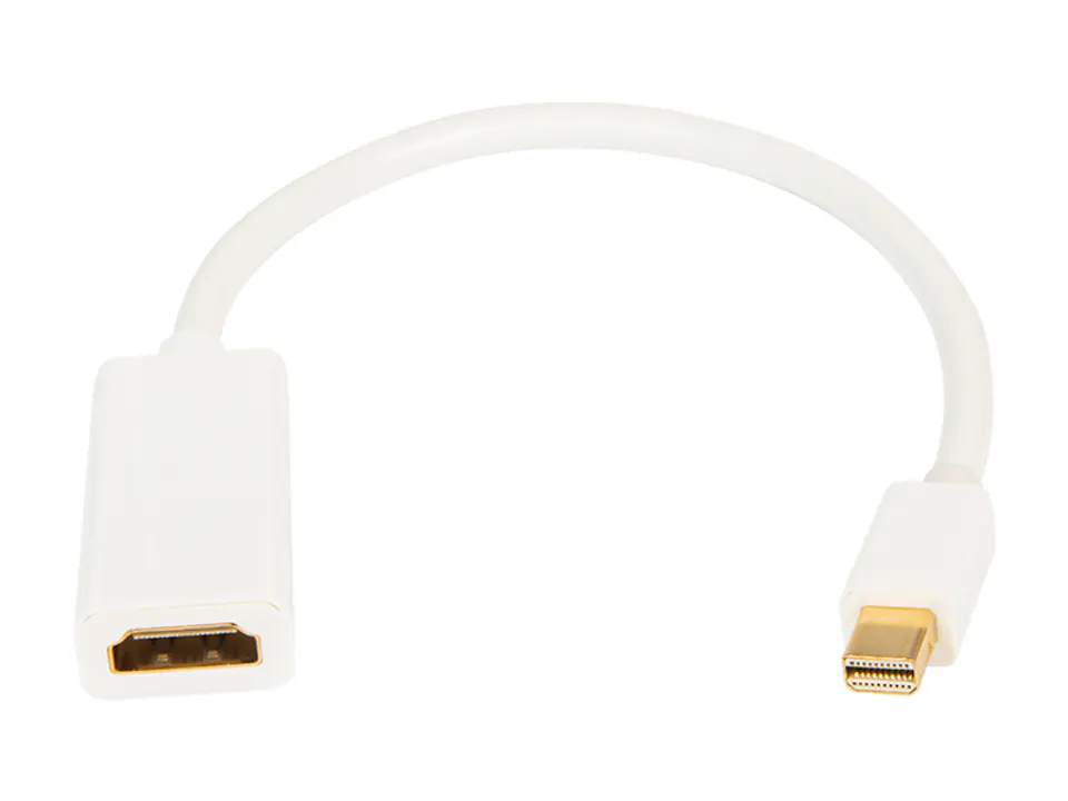 ⁨HDMI gn. HDMI-wt.mini DISPLAY PORT⁩ at Wasserman.eu