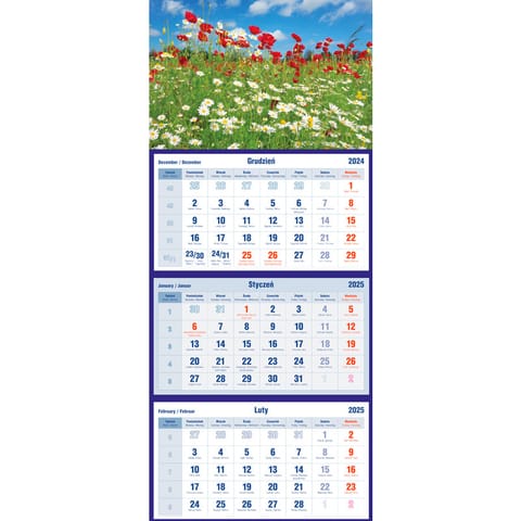 ⁨Tripartite calendar poppies T-105T-01 Michalczyk and Prokop⁩ at Wasserman.eu