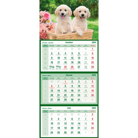 ⁨Calendar tripartite dog T-105T-09 Michalczyk and Prokop⁩ at Wasserman.eu