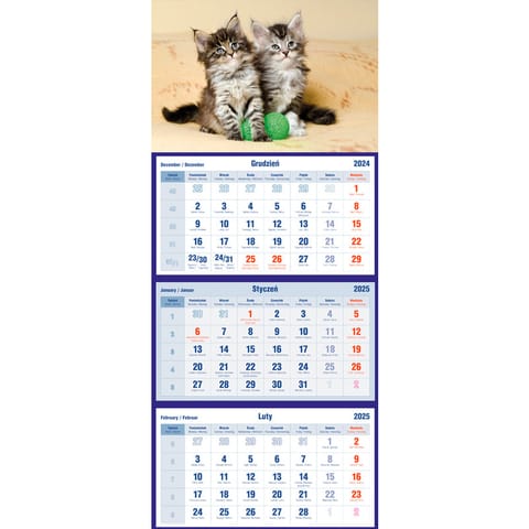 ⁨Tripartite calendar cats T-105T-10 Michalczyk and Prokop⁩ at Wasserman.eu