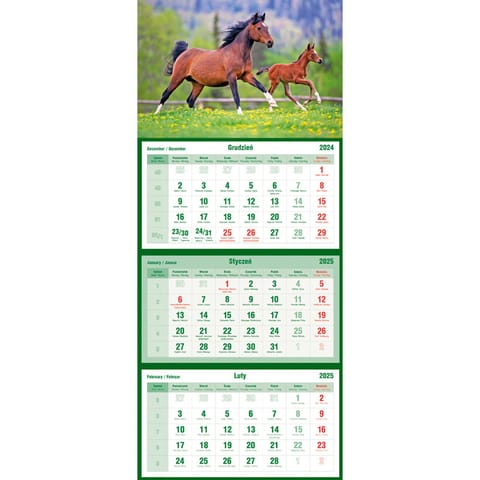 ⁨Calendar tripartite horse T-105T-11 Michalczyk and Prokop⁩ at Wasserman.eu