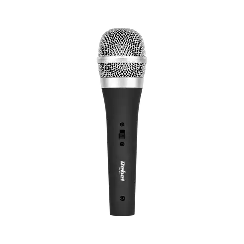 ⁨Microphone DM-2.0⁩ at Wasserman.eu