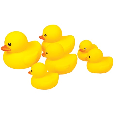 ⁨SET OF DUCKS IN A GRID OF 6 PCS.⁩ at Wasserman.eu