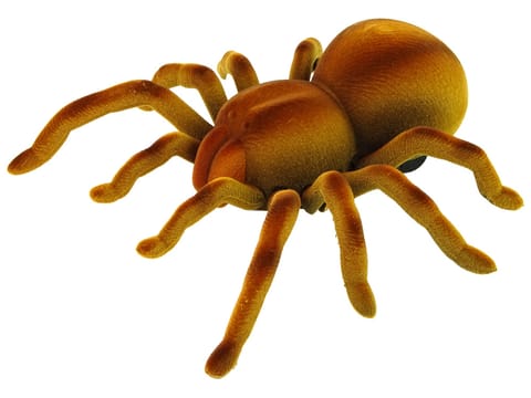 ⁨Pająk GIGANT zdalnie sterowany TARANTULA z pilotem⁩ w sklepie Wasserman.eu