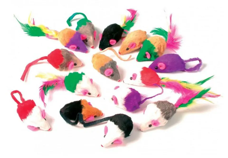 ⁨Zolux Set of 24 small cat mice [480412]⁩ at Wasserman.eu