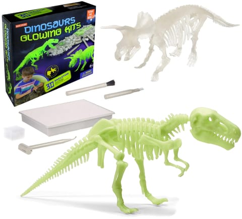 ⁨WYKOPALISKA PALEONTOLOG DINOZAUR FOSFORY⁩ w sklepie Wasserman.eu