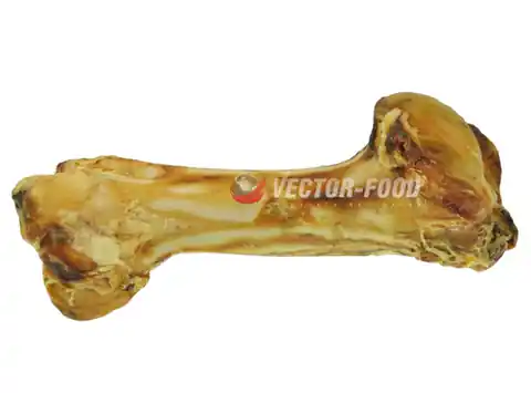 ⁨Vector-Food Kość wołowa gigant 1szt.⁩ w sklepie Wasserman.eu