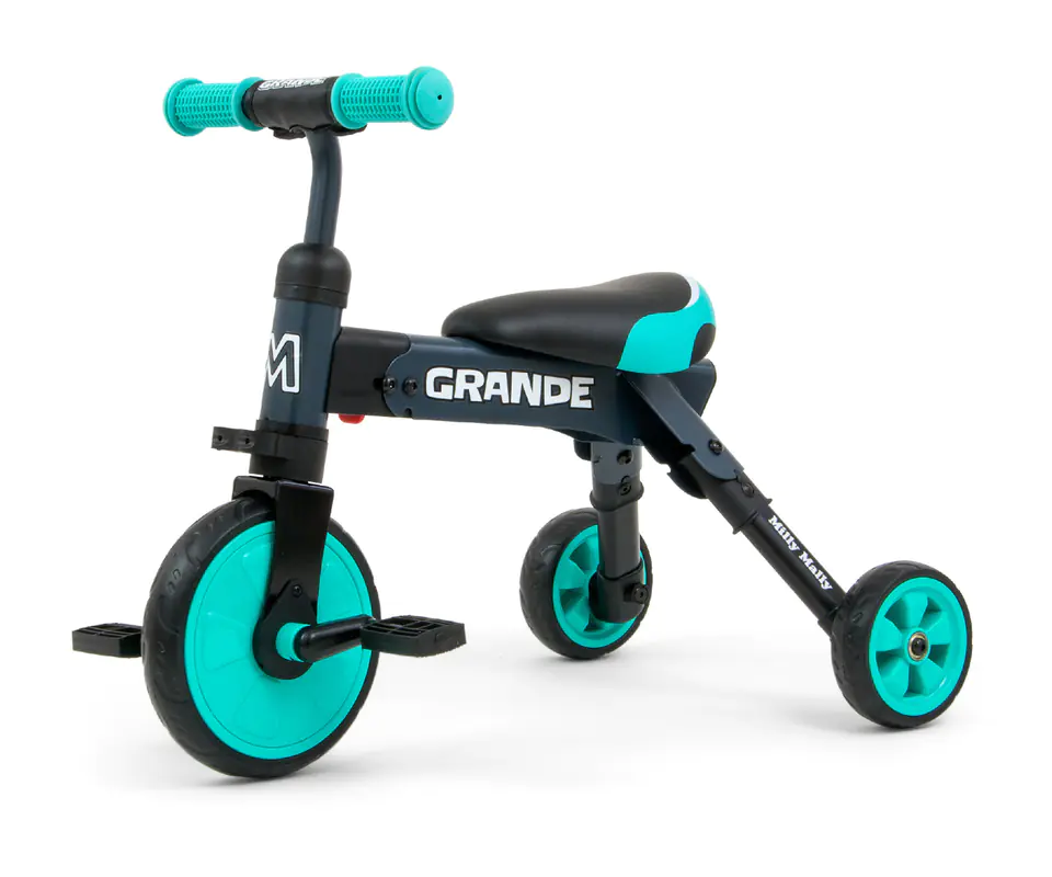 Bike 2in1 Grande Mint at Wasserman.eu