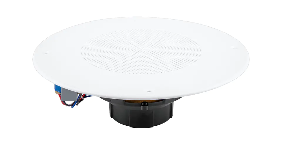 Ceiling speaker at Wasserman.eu
