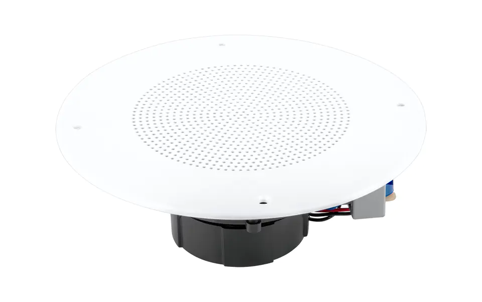 Ceiling speaker at Wasserman.eu