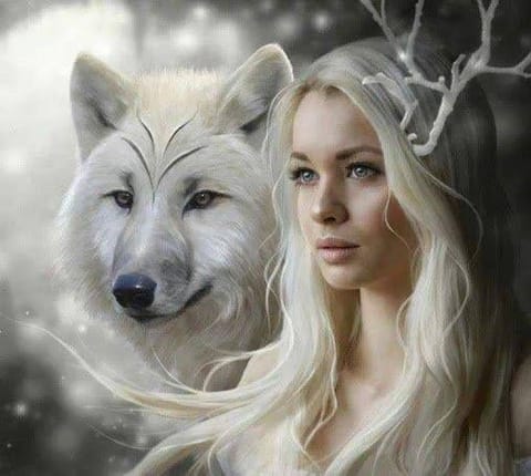 ⁨Diamond mosaic - Wolf with woman⁩ at Wasserman.eu