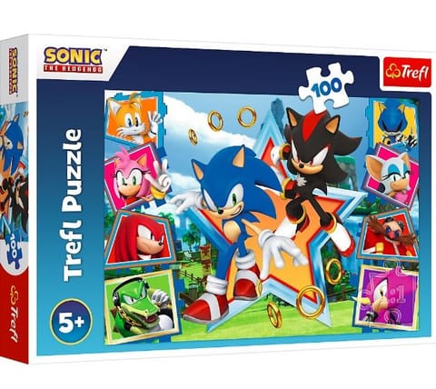 ⁨Puzzle 100 elementów Poznaj Sonica Sonic⁩ w sklepie Wasserman.eu