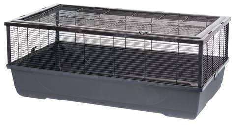 ⁨INTER-ZOO Bernie black - cage for rodents - 100 x 54 x 39cm⁩ at Wasserman.eu