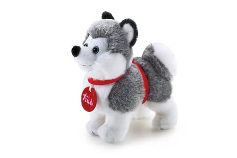 ⁨Dante Trudi Husky plush⁩ at Wasserman.eu