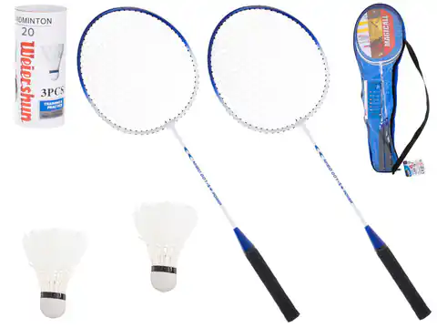 ⁨Badminton discus rockets + shuttlecock cases⁩ at Wasserman.eu