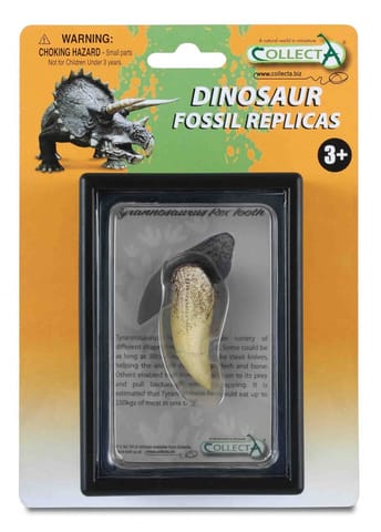 ⁨COLLECTA ZĄB TYRANOZAURA W OPAKOWANIU⁩ w sklepie Wasserman.eu