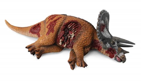 ⁨COLLECTA DINOZAUR TRICERATOPS (OFIARA)⁩ w sklepie Wasserman.eu