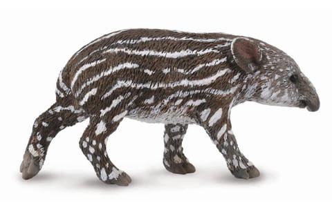 ⁨COLLECTA TAPIR CIELĘ BAIRDA⁩ w sklepie Wasserman.eu