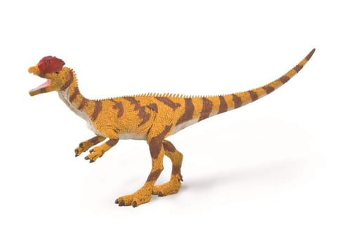 ⁨COLLECTA DINOZAUR DILOFOZAUR SKALA 1:40⁩ w sklepie Wasserman.eu