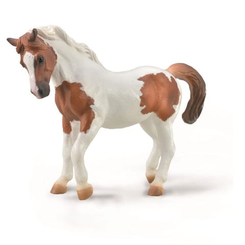 ⁨COLLECTA CHINCOTEAGUE PONY MAŚCI KASZTANOWATEJ PINTO⁩ w sklepie Wasserman.eu