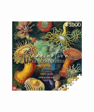 ⁨Imagination Puzzle: Ernst Haeckel Sea Creatures 1000 elements⁩ at Wasserman.eu