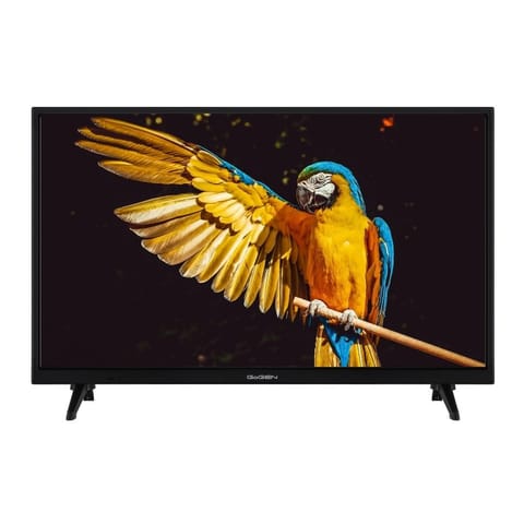 ⁨GoGEN TVH24A336 24" TV⁩ at Wasserman.eu