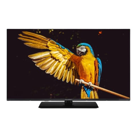 ⁨GoGEN TVF32M340STWEB 32" TV⁩ at Wasserman.eu