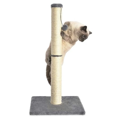 ⁨ZW6C Scratching post large post 100cm⁩ at Wasserman.eu