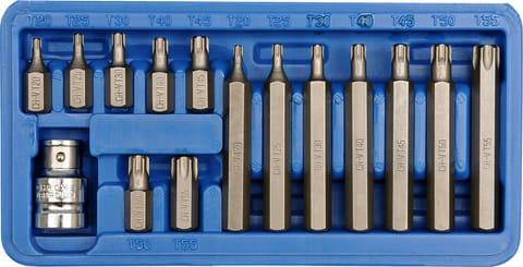 ⁨TORX BIT SET T20-T55 15PCS⁩ at Wasserman.eu