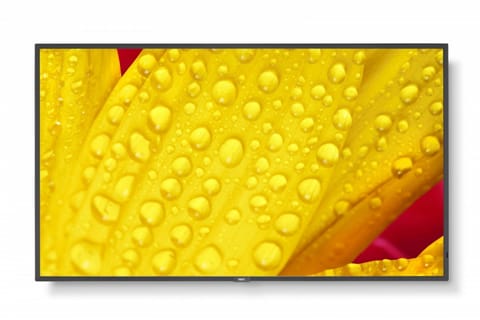 ⁨Monitor NEC 60006083 (43" /TFT IPS /60Hz /3840 × 2160 /Czarny )⁩ w sklepie Wasserman.eu