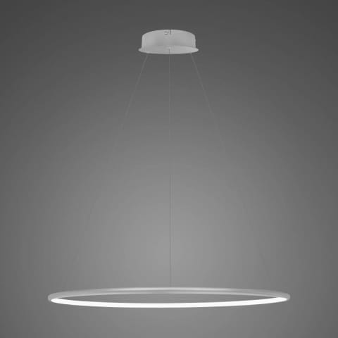 ⁨Lampa wisząca Ledowe Okręgi No.1 CO 80cm 3k srebrna (Barwa światła delikatnie ciepła, Kierunek padania światła do wewnątrz, Kolor srebrny, Możliwość ściemniania nie)⁩ w sklepie Wasserman.eu