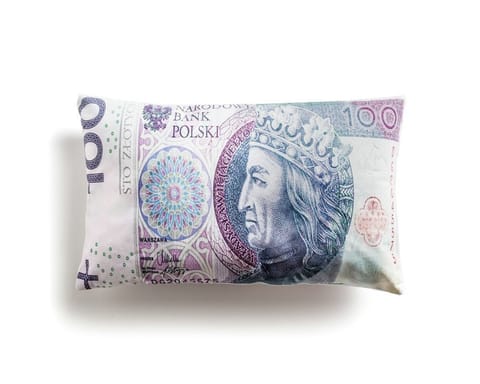 ⁨Pillow STÓWKA 100 PLN⁩ at Wasserman.eu