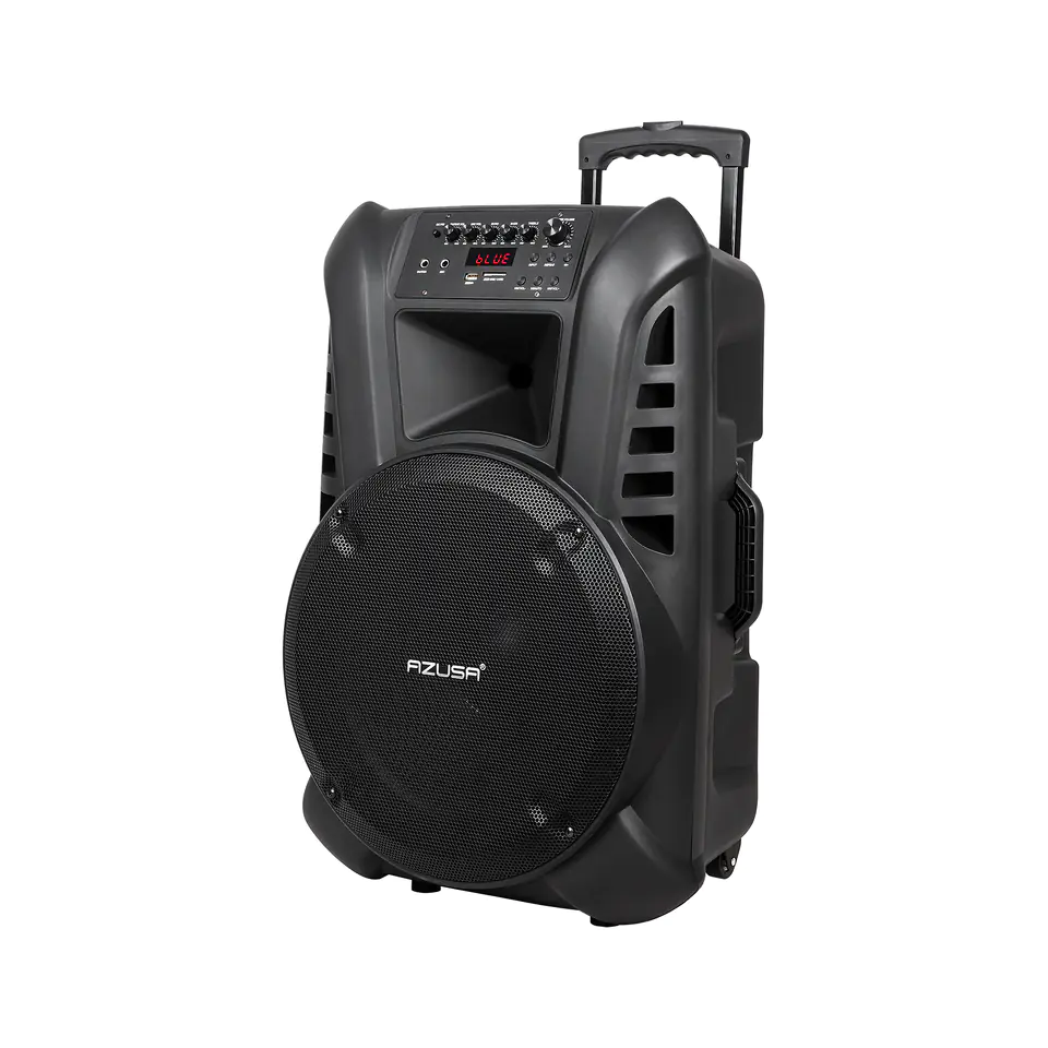 Kolumna aktywna ( z 2 mikrofonami bezprzewodowymi, SD, Bluetooth, USB) 15" 120W w sklepie Wasserman.eu