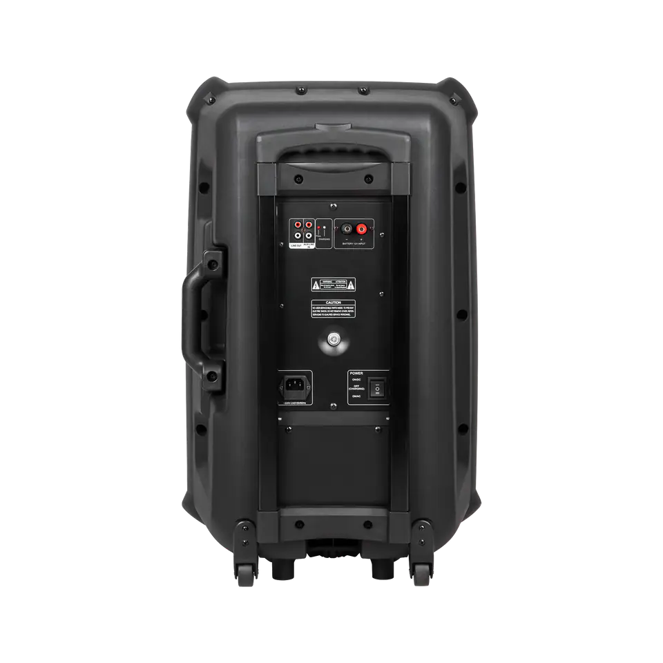 Active speaker (with 2 wireless microphones, SD, Bluetooth, USB) 15" 120W at Wasserman.eu