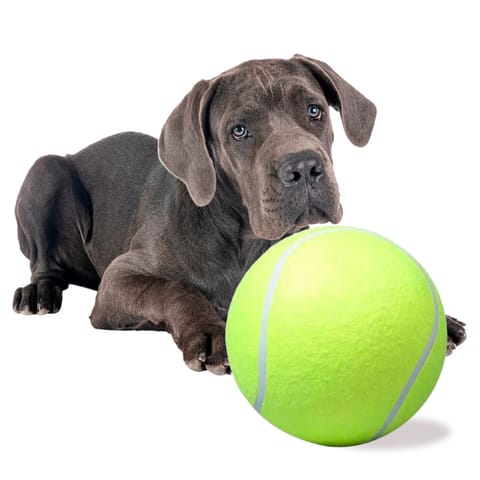 ⁨Dog toy tennis ball giant XXL 24cm⁩ at Wasserman.eu