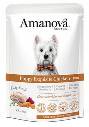 ⁨Amanova Dog Puppy Exquisite Chicken - kurczak saszetka 300g [P08]⁩ w sklepie Wasserman.eu