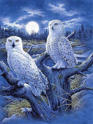 ⁨Diamond mosaic - White owls⁩ at Wasserman.eu