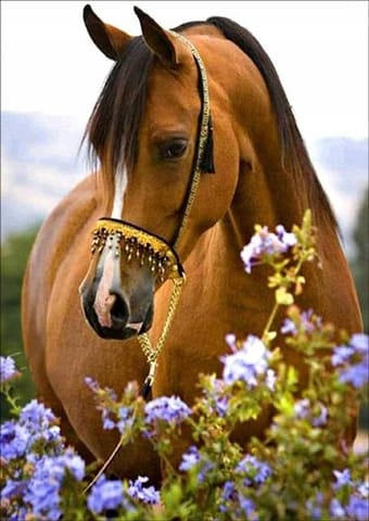 ⁨Diamond mosaic - Horse in flowers⁩ at Wasserman.eu