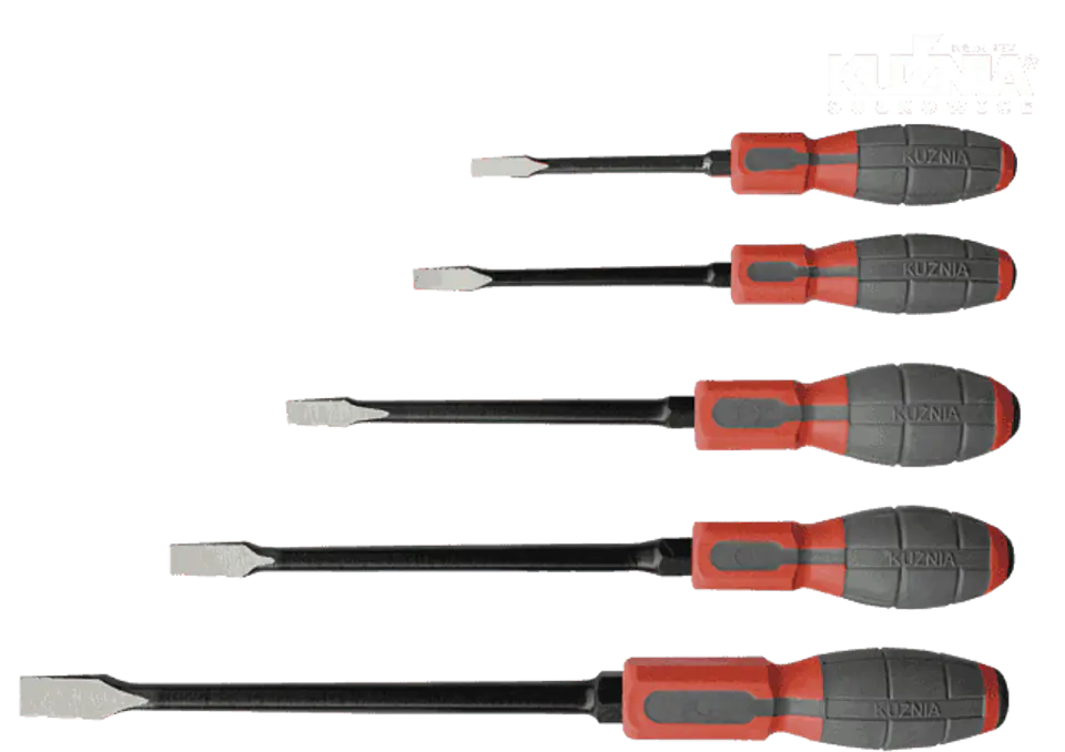 ⁨SET OF FLAT SCREWDRIVERS 5 PCS⁩ at Wasserman.eu